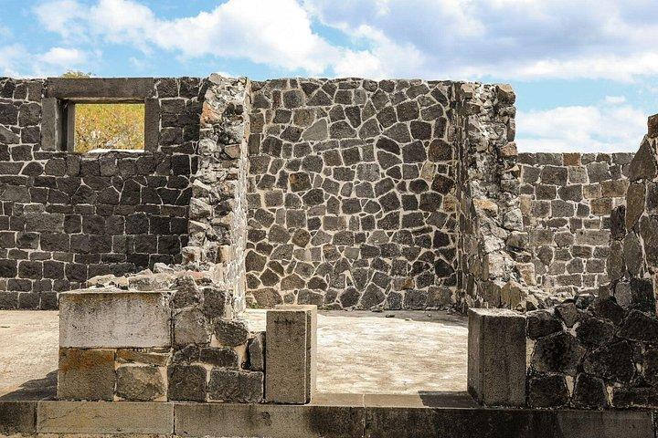 North Mauritius Private tour with Botanical Garden & Lunch