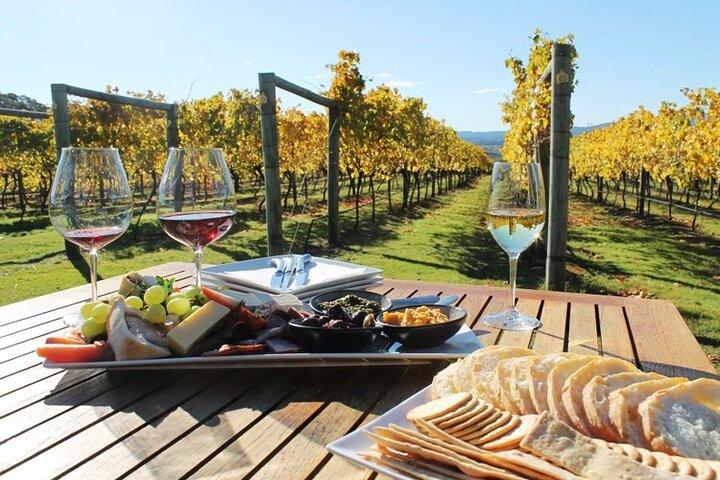 Tour de vinho de 6 horas e aula de culinária privada