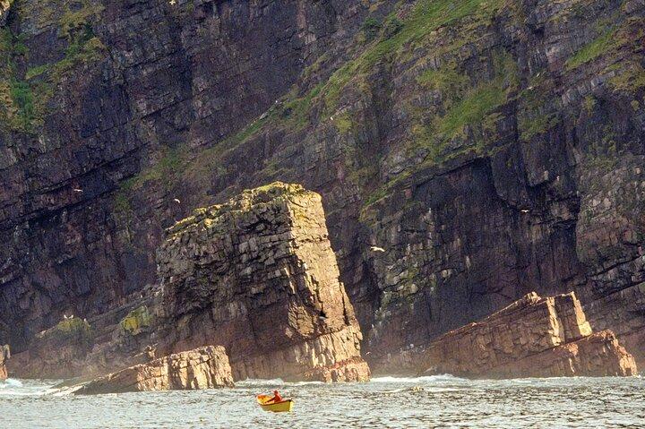 Puffin & Marine Wildlife Boat Tour