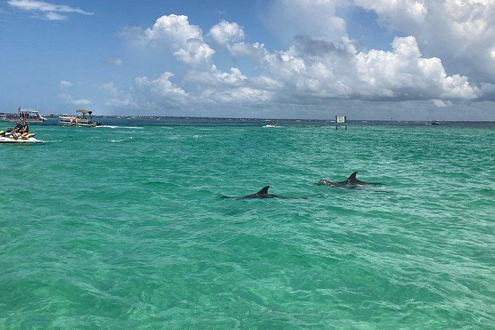 Destin privat katamaran og snorkeltur 3 eller 4 timer