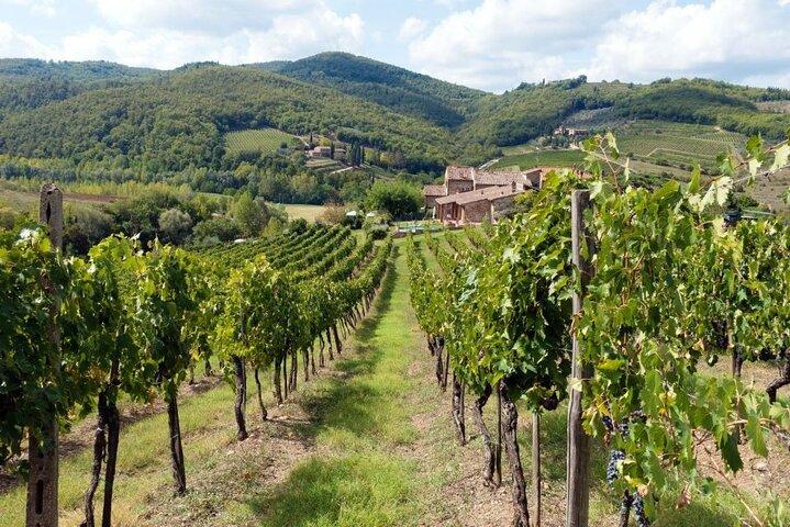 Chianti de Florença: Vinho PRIVADO, Degustação de Azeite no interior da Toscana