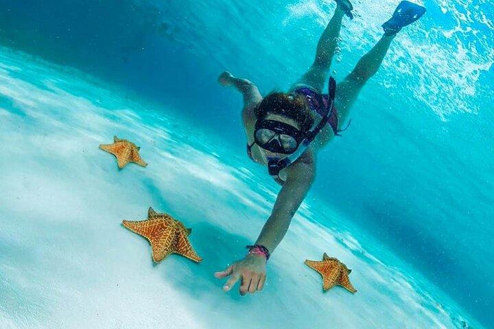 Cielito Cozumel: Schnorcheltour in der mexikanischen Karibik
