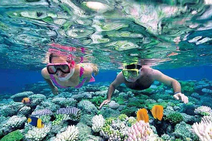 シエリト・コスメル：エル・シエロとカリブ海のサンゴ礁でシュノーケリング