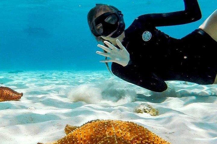 シエリト・コスメル：エル・シエロとカリブ海のサンゴ礁でシュノーケリング