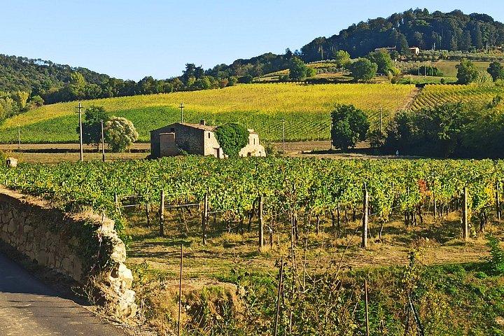S GimignanoとMonteriggioniに立ち寄る、フィレンツェからシエナへのプライベートトランスファー