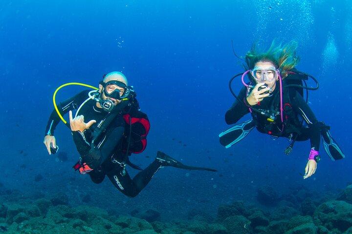 Immersion guidée de Santa Cruz de Tenerife