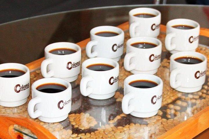 Exclusive Coffee Experience:Tour from Bogotá