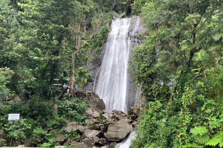 USDA El Yunque National Forest e Luquillo Beach Tour