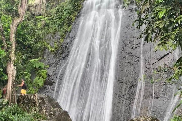 USDA El Yunque National Forest e Luquillo Beach Tour