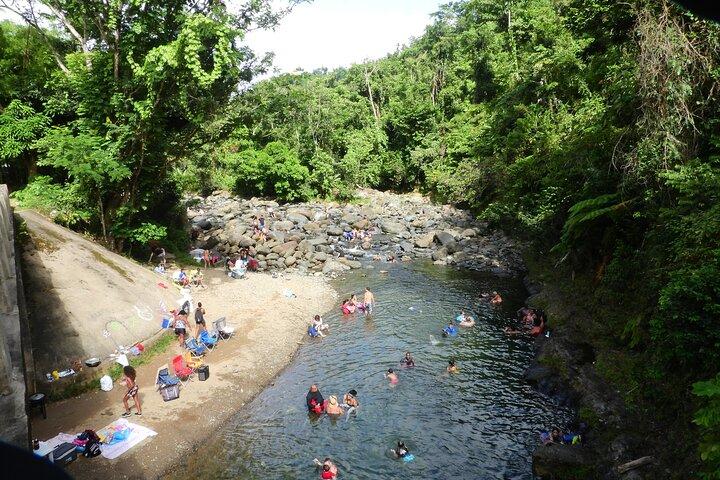 USDA El Yunque National Forest e Luquillo Beach Tour