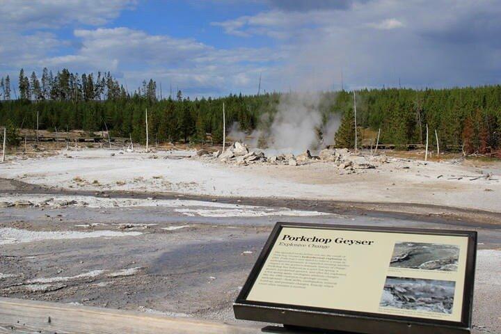 Yellowstone Lower Loop VIP-dagtour met lunch