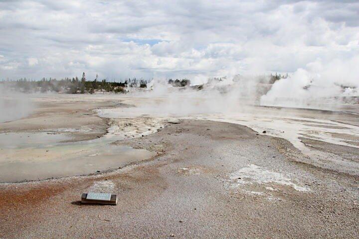Yellowstone Lower Loop VIP-dagtour met lunch