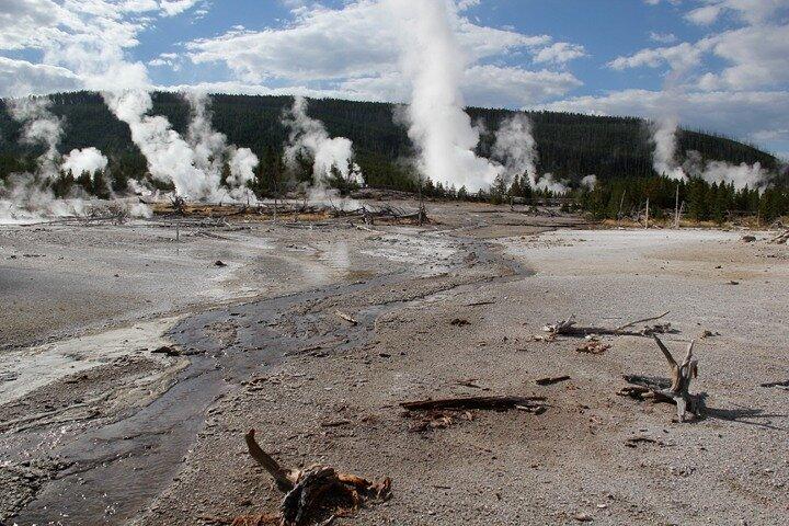 Yellowstone Lower Loop VIP-dagtour met lunch