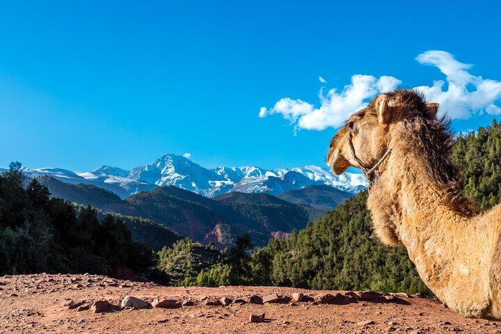 Journée complète Villages berbères et montagnes de l'Atlas Aventure 4x4