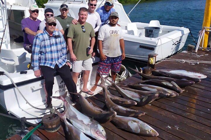 釣りをしないなら釣りをしないなら釣りをチャーターするバートラム31ft 6人
