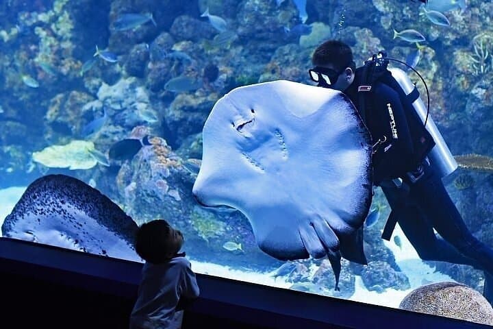 VIP Experience Dubai Aquarium & Underwater Zoo-As per Selection