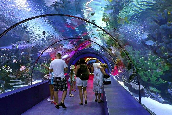 Antalya : Acuario, Museo de Cera & Combo Opciones del paquete