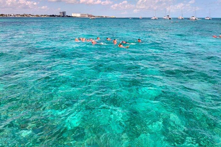 Catamarano Platinum per Isla Mujeres: Snorkeling e Open Bar