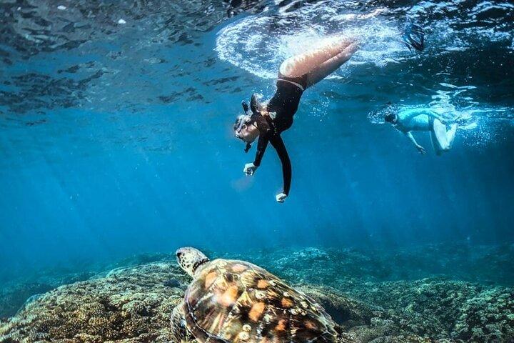 Bahías de Huatulco を巡る 1 日ガイド付きツアー + ピックアップ + 軽食 + 礼儀 !!