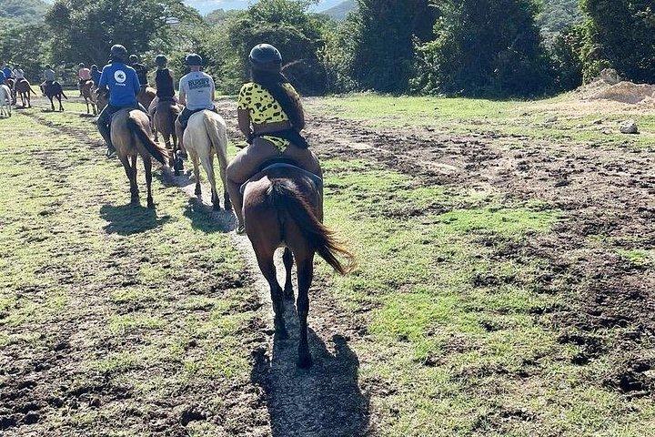 ATV アドベンチャー、乗馬、リックス カフェのプライベート ツアー