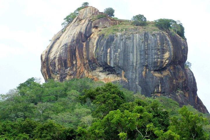 8 Days Hill Country and Coastal Tours in Sri Lanka