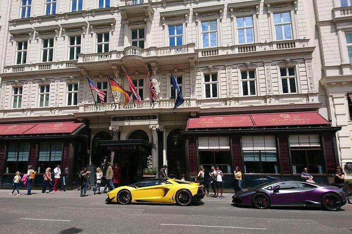 ヴェネツィアからウィーン、またはウィーンからヴェネツィアへの専用送迎
