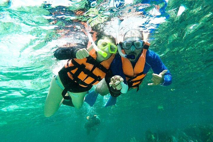 Catamarán privado con barra libre