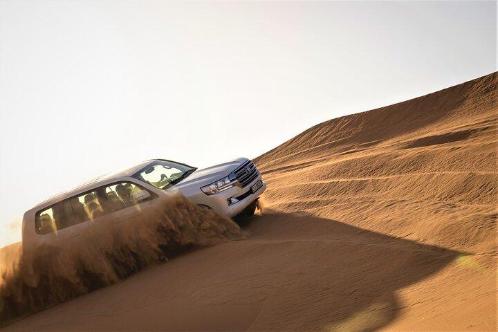 Dunas vermelhas de Dubai com sandboard, passeio de camelo, falcão e acampamento VIP