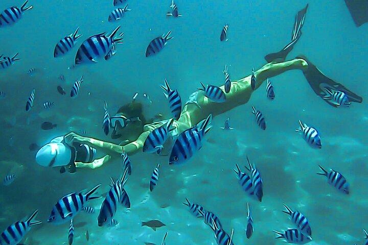 Snorkling på en undervandsscooter - Lagoon Discovery: Wrecks + Coral Gardens