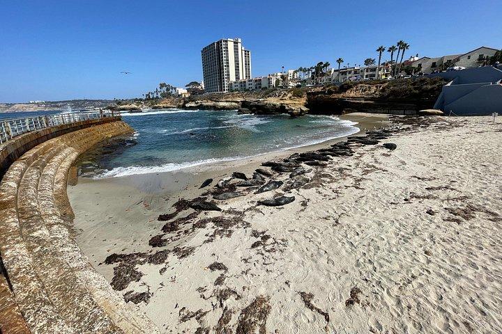 The Plunge E-Bike Tour in La Jolla