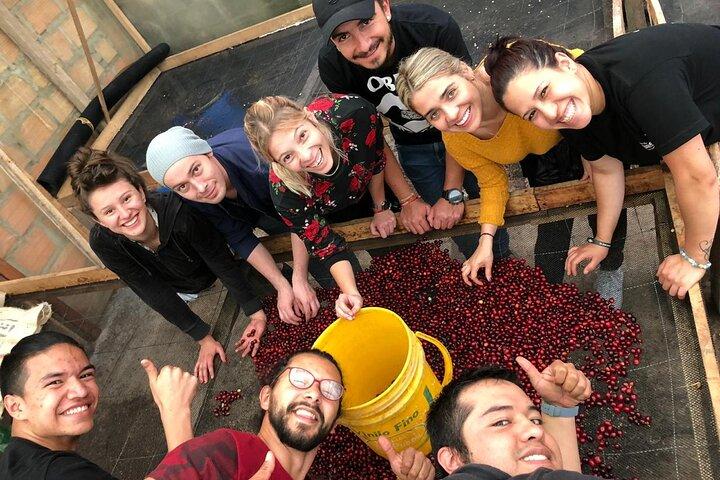 Cocora Valley, Salento e Coffee Farm Day Tour
