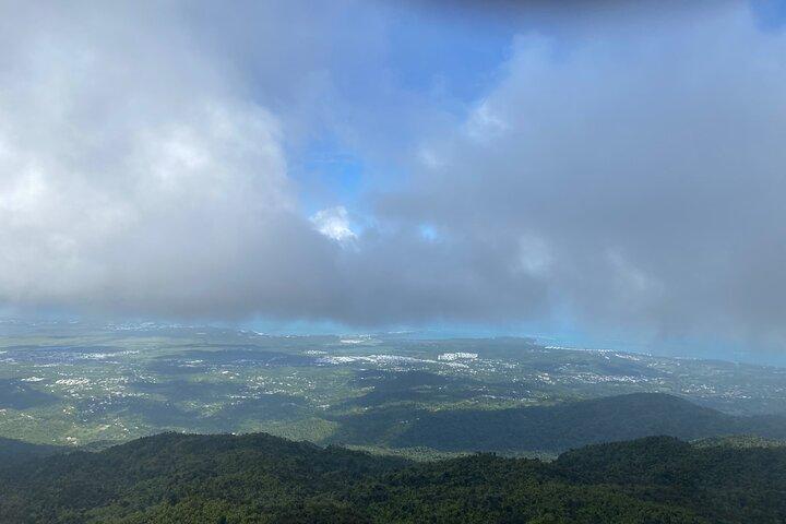 サンファン発エル ユンケ熱帯雨林ガイド付き日帰りツアー