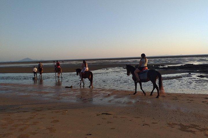 Krabi: Sunset Beachfront Horse Ride with Barbecue Dinner