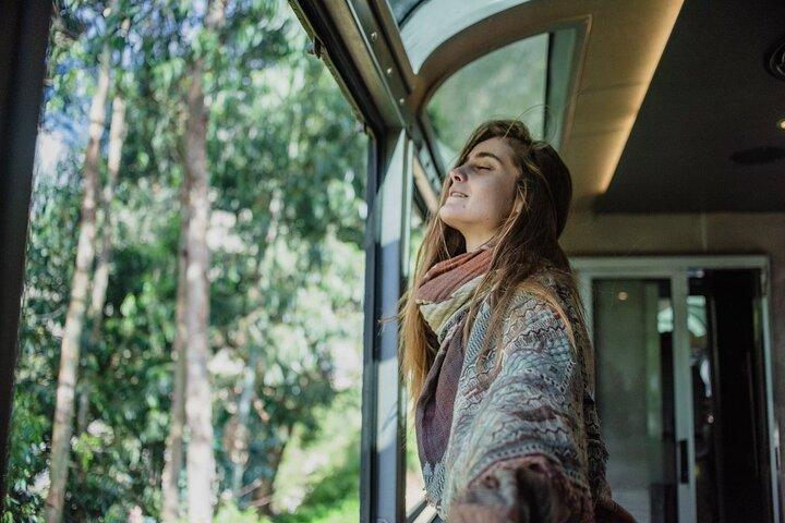 Machu Picchu First Class Train Day Tour saindo de Cusco