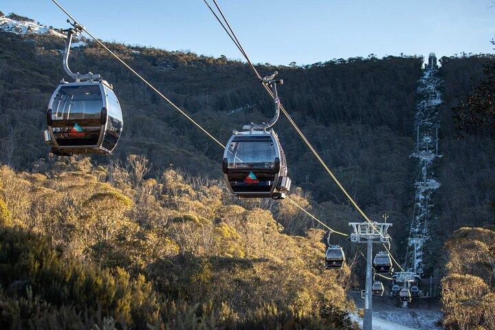 Viaje en autobús de Thredbo o Perisher desde Canberra