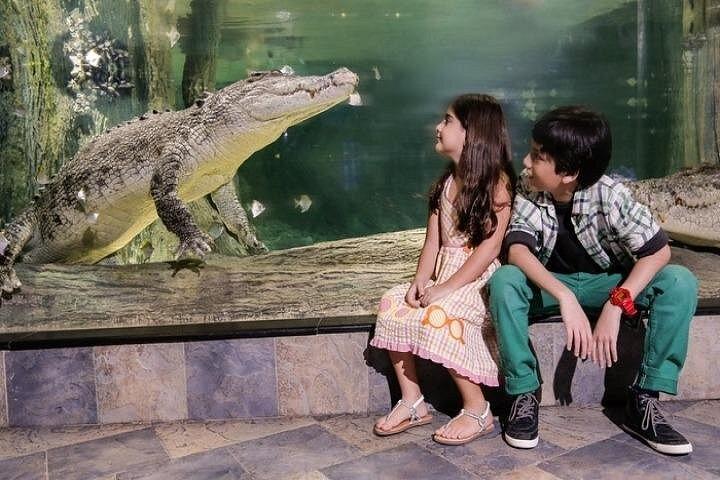 ドバイ ブルジュ ハリファ & 水族館水中動物園ツアー