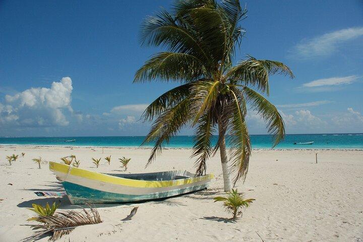 Bimini oder Grand Bahama Island Tagestour