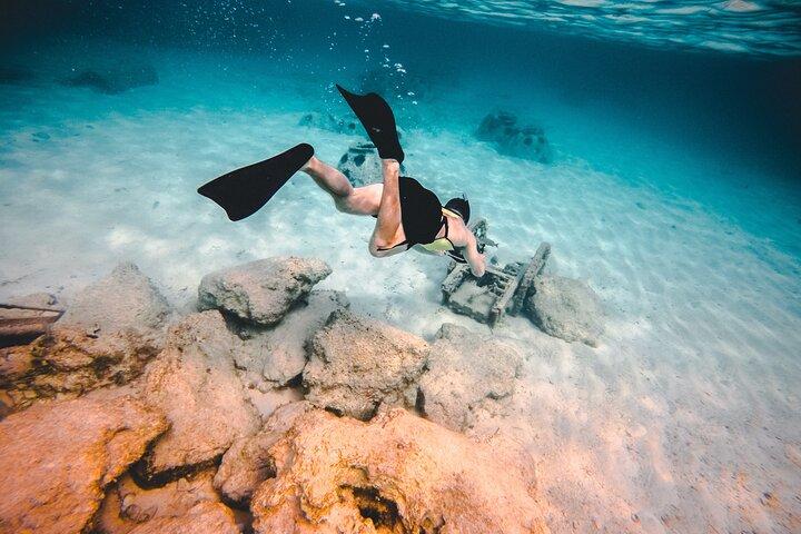 Bimini oder Grand Bahama Island Tagestour