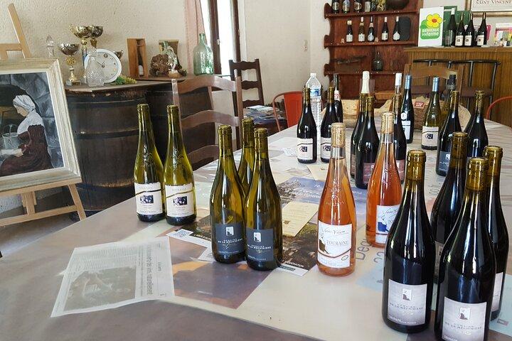 Tour privato Touraine-Chenonceau