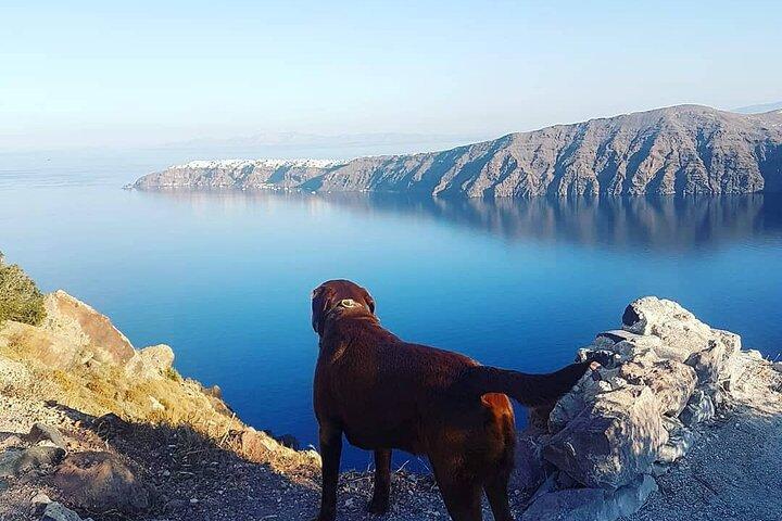 5-timers privat tilpasset Santorini-tur