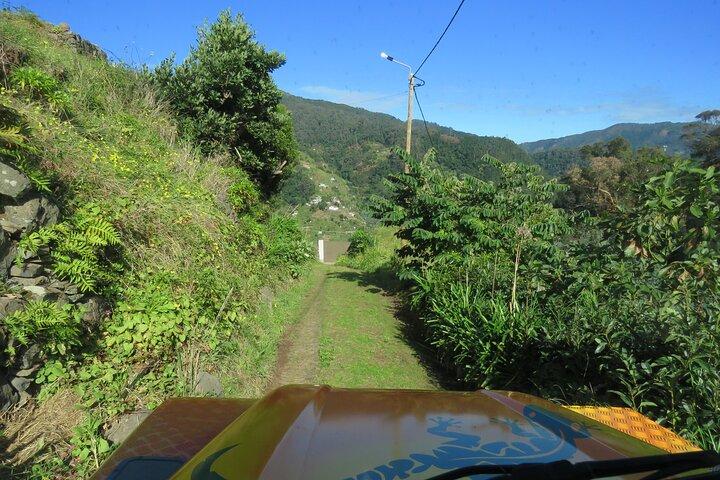 Lokale boerenmarkt en 4WD-ervaring vanuit Funchal