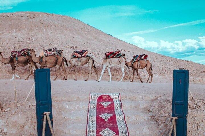 Agafay Desert Camel Ride from Marrakech with Dinner & Live Music