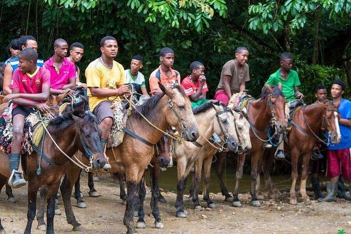 Samana: Bacardi Island and El Limon Waterfall