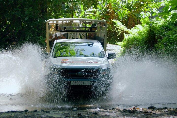 モーレア・クルーズ・シップス：4x4,ベルヴェデーレ,マジックマウンテンパイナップル
