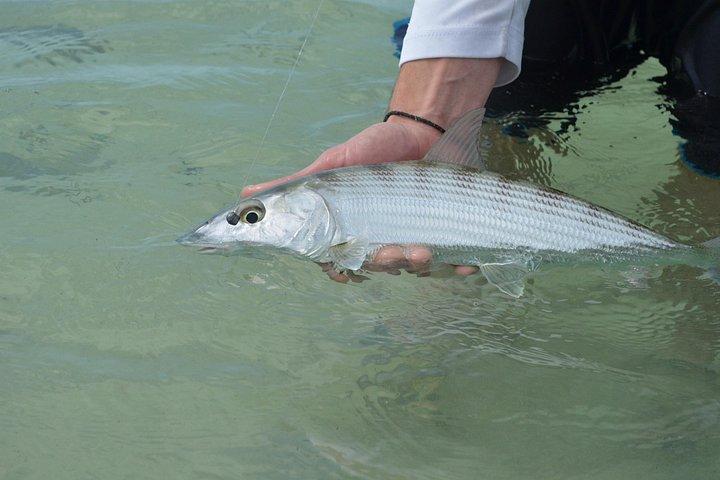 Everglades Fishing