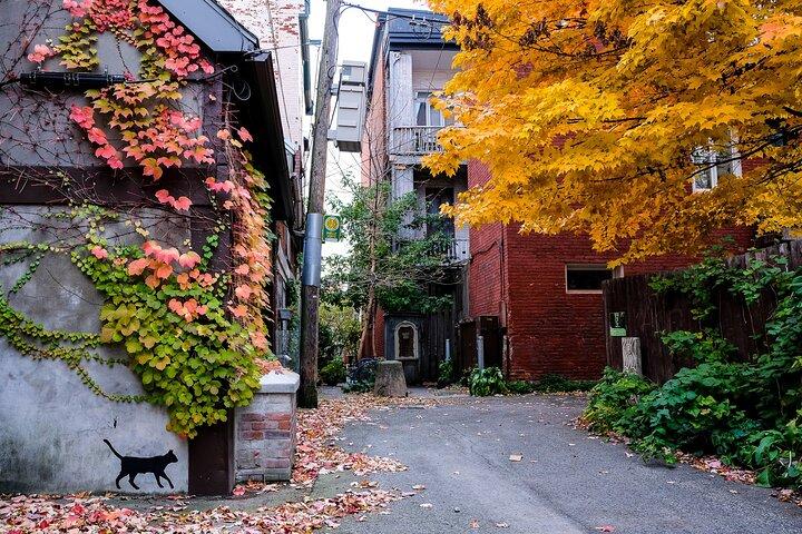 MTL Detours によるモントリオールのプラトー モンロイヤルとマイルエンド ツアー