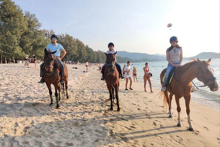 プーケットのビーチ乗馬アクティビティ