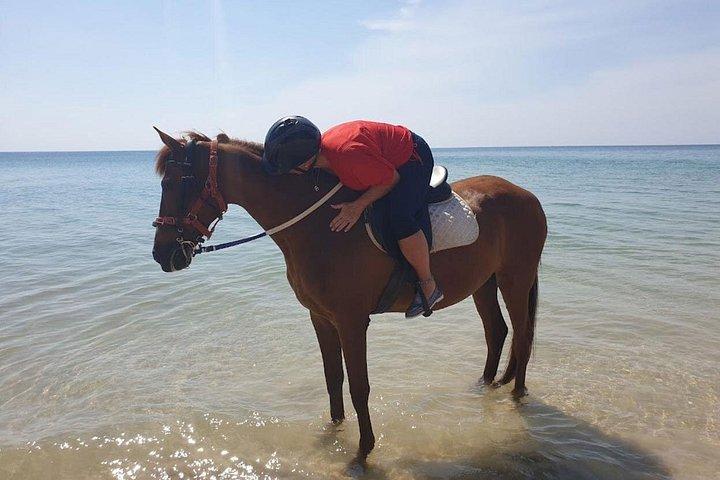 プーケットのビーチ乗馬アクティビティ