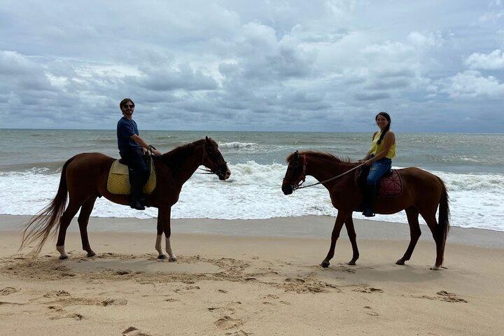 プーケットのビーチ乗馬アクティビティ