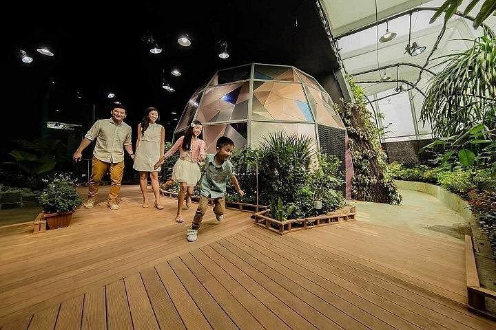 シンガポール:サイエンス センター入場券